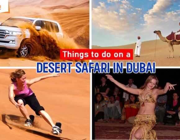 Things to Do on a Desert Safari in Dubai