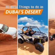 10 Best Things to do in Dubai’s Desert